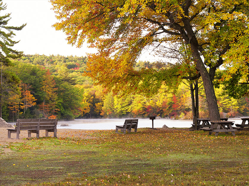 Image of 360 Acre Commons